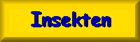Insekten