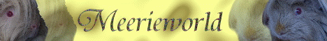 Meeriworld