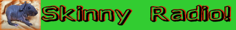 Skinny Radio