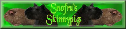 Snofru Skinnys