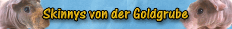 Skinnys von der Goldgrube