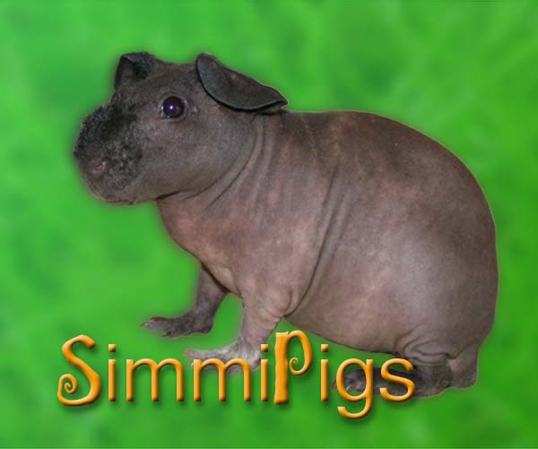 Neo