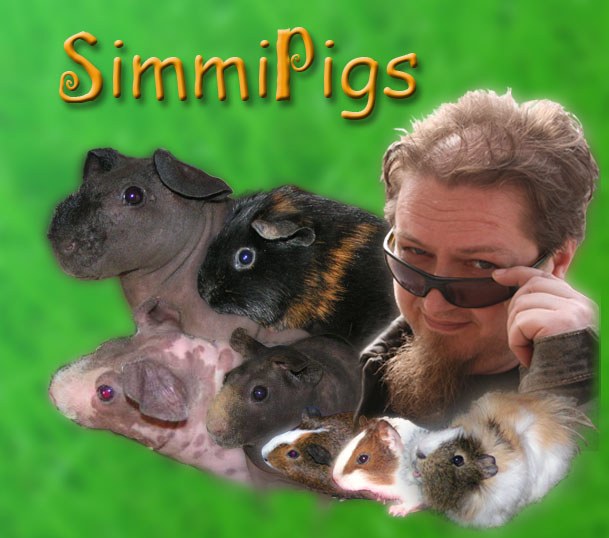 SimmiPigs